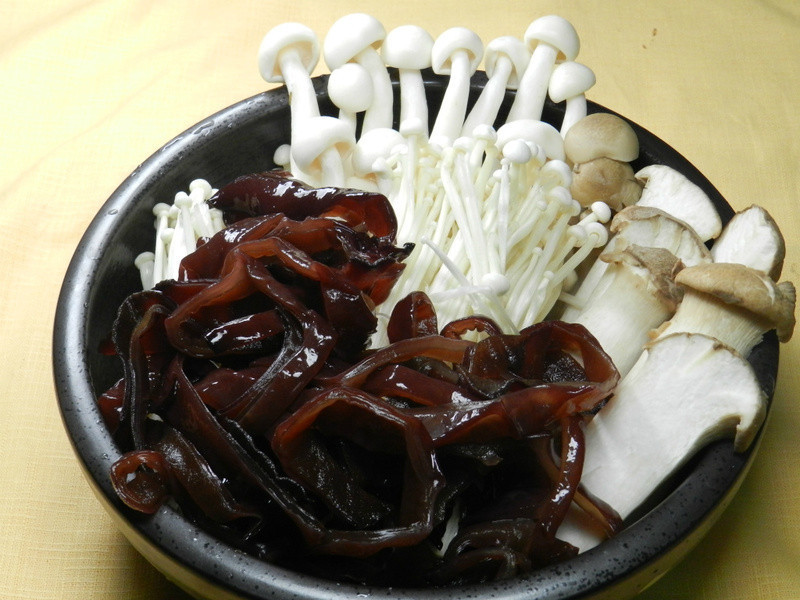 ������ڹǼ���������