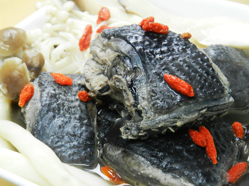 ������ڹǼ���������