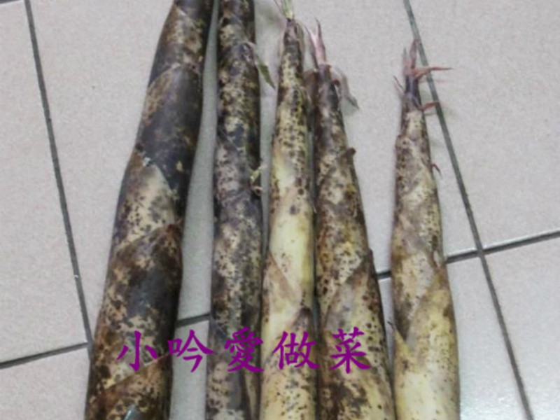 ��Ǹ��˹�������������