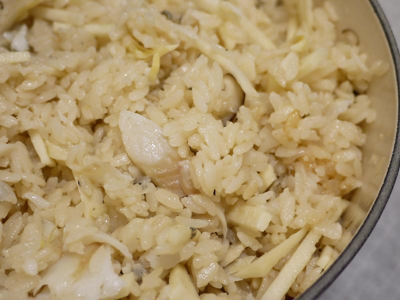 ���� ���-�����������񴶷�������