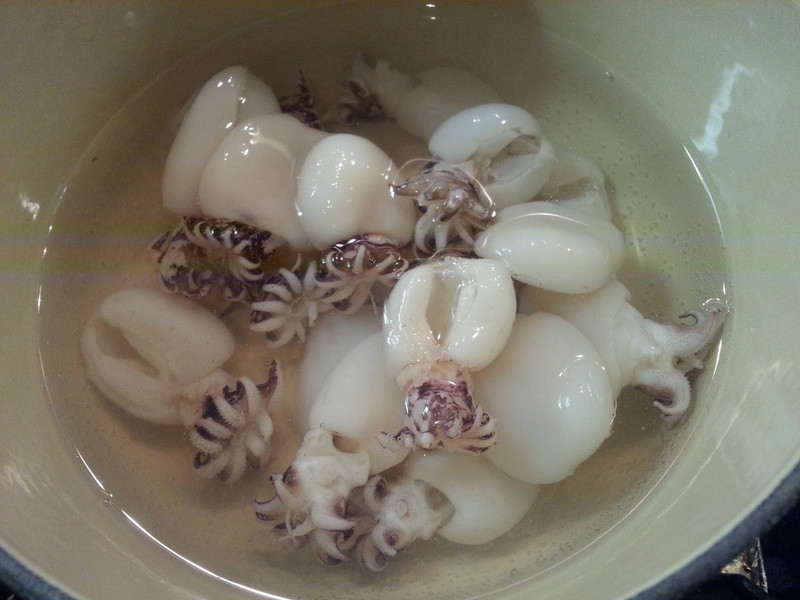 ̩ʽ����������֦������