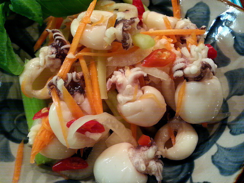 ̩ʽ����������֦������