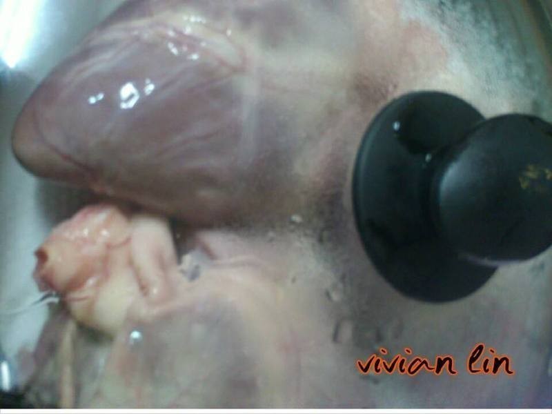 �Οh���ĵ�����