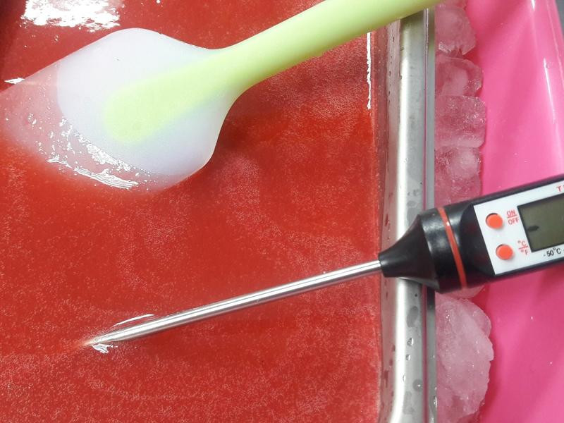 ��ʽ����ݮ��ѩ�ҵ�����