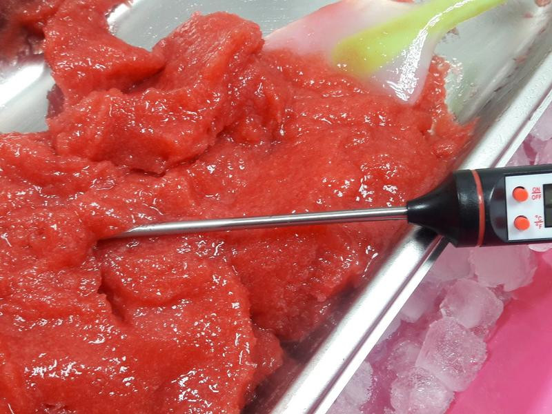 ��ʽ����ݮ��ѩ�ҵ�����