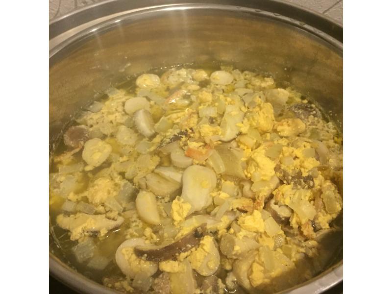 ��������ʽ ���������⼦��������