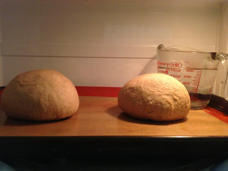 Wheat Bread-�����������������