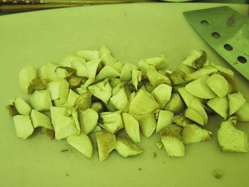 �ʹ�Ұ��������������