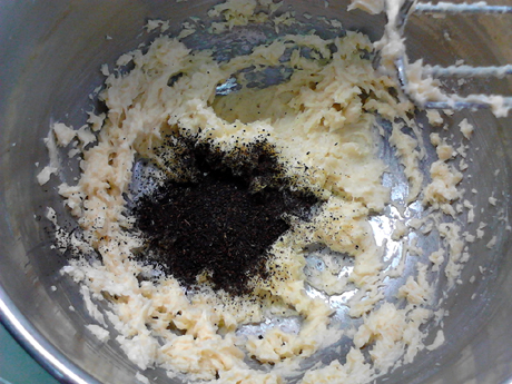 ���ַ�ζ������������