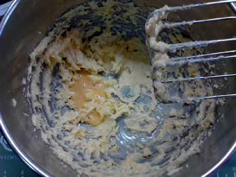 ���ַ�ζ������������