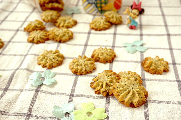 ���ַ�ζ������������