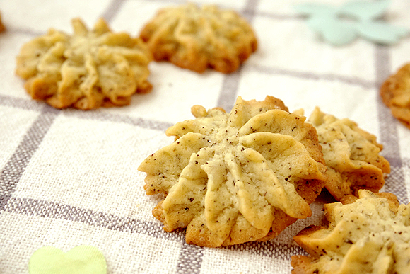 ���ַ�ζ������������