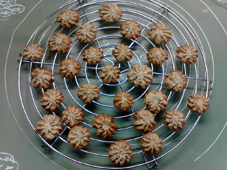 ���ַ�ζ������������