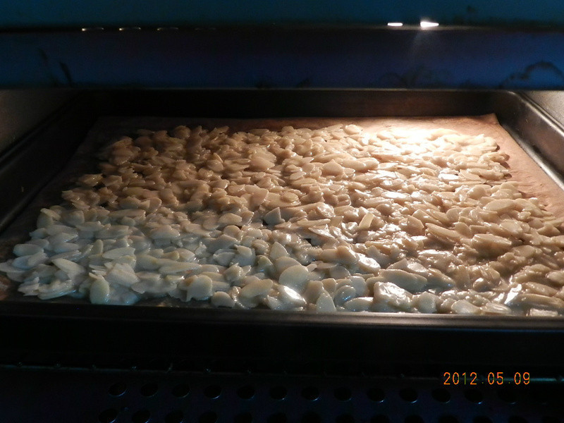 ������Ƭ~