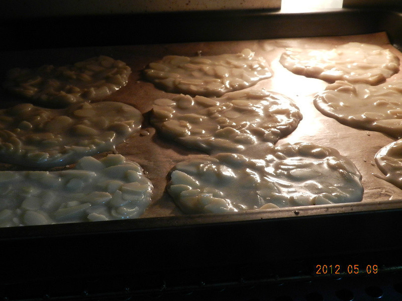 ������Ƭ~