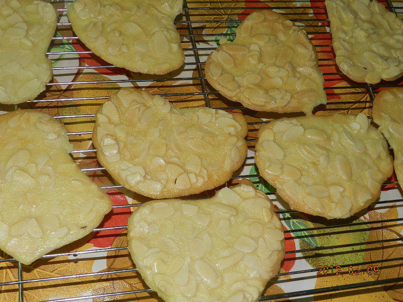 ������Ƭ~