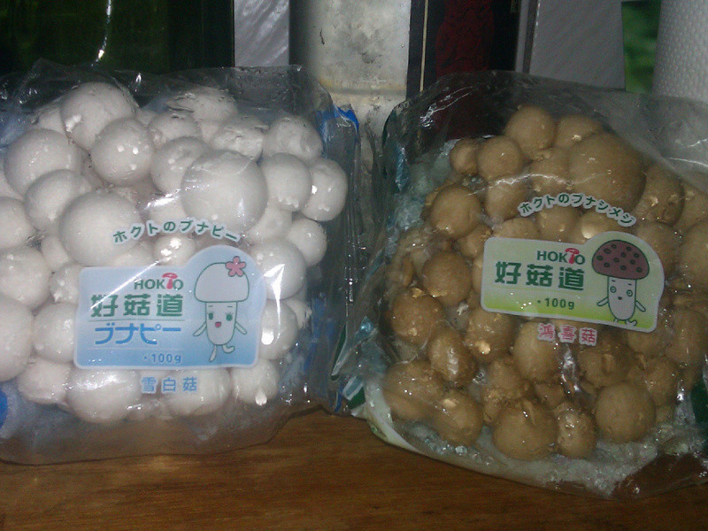 ���ù�����idea�������ع���������