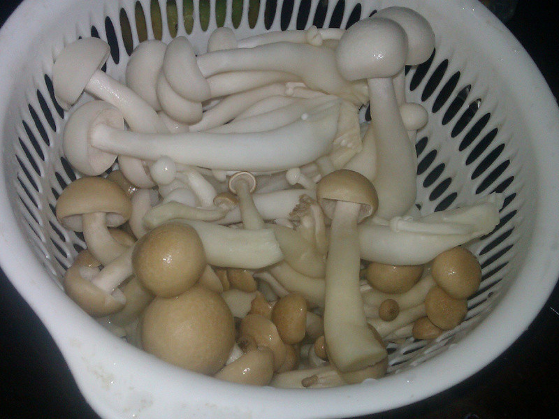 ���ù�����idea�������ع���������