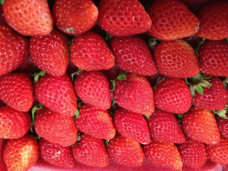 ��������ݮ����������