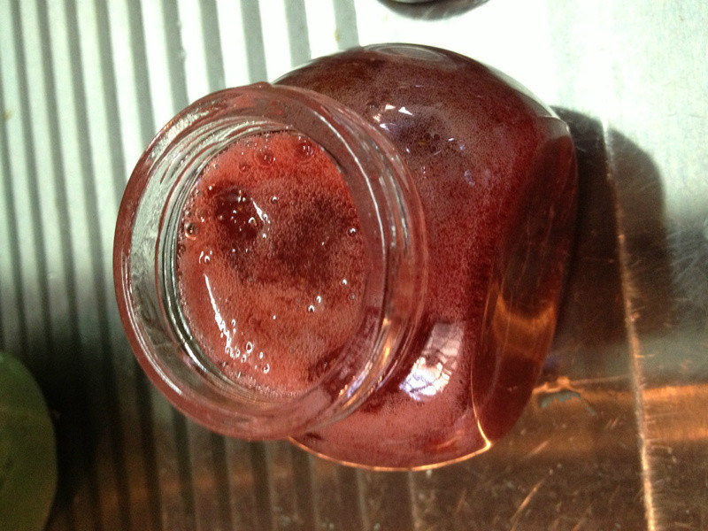 ��������ݮ����������