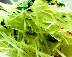 �����̻�Ҭ��˿������