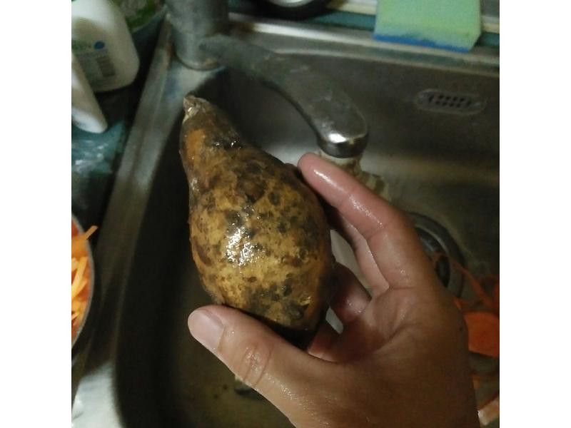 ������عϵ�����