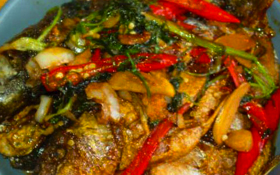 �⽷�����������