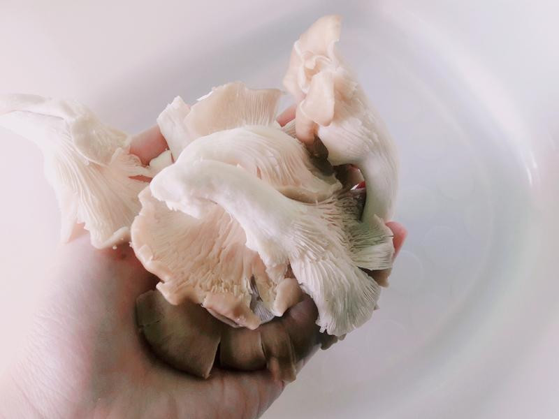 �嵭����Ұ������Բ������