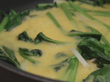 ��ʽ���˼嵰��������