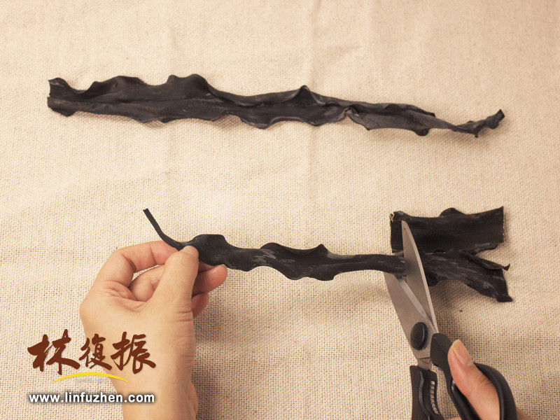 ���ƺͷ����������