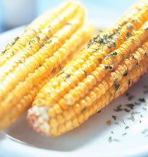 ���������׵�����