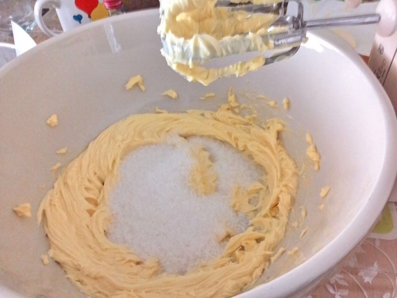 ����ţ�͵��������