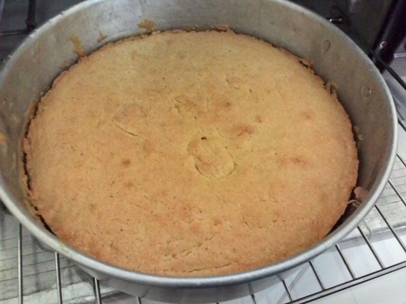 ����ţ�͵��������