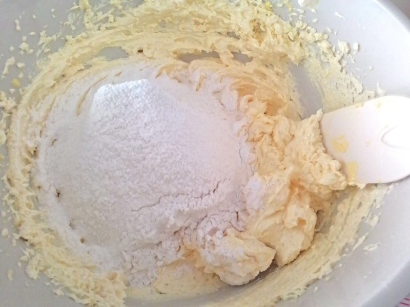 ����ţ�͵��������