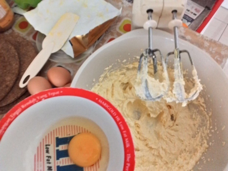 ����ţ�͵��������