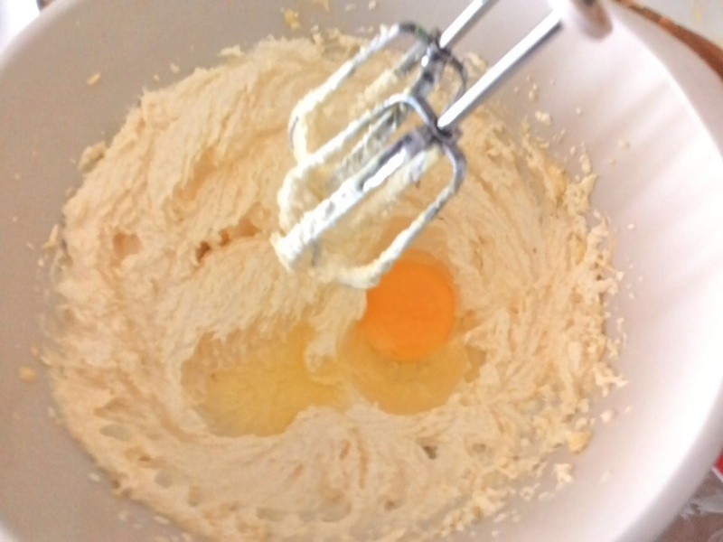 ����ţ�͵��������