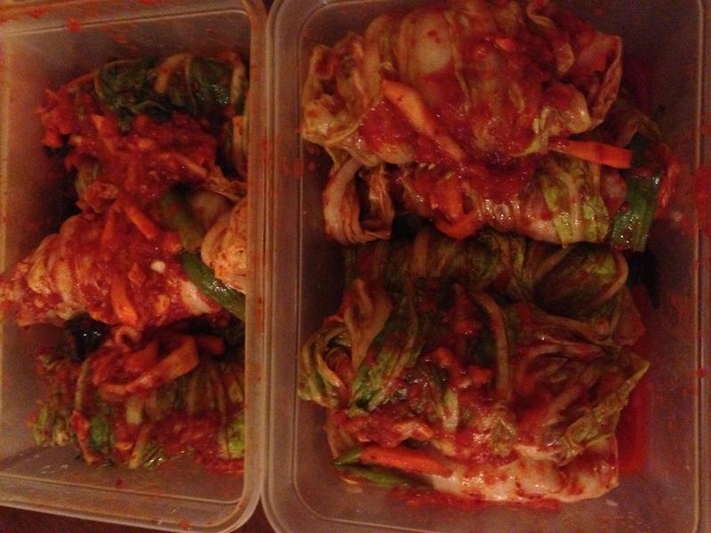 ��ʽ�ݲ�/��ʽ���ܲ�������