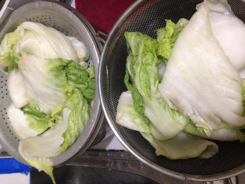 ��ʽ�ݲ�/��ʽ���ܲ�������