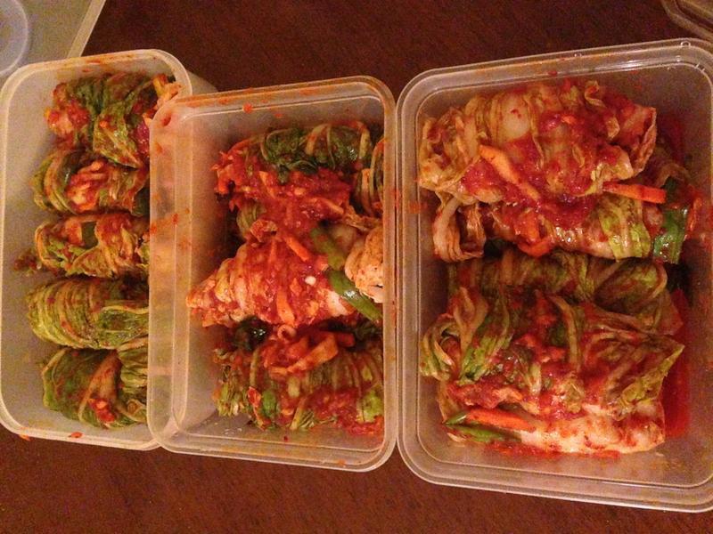 ��ʽ�ݲ�/��ʽ���ܲ�������