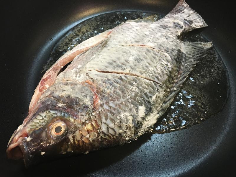 ��ʽ�ݲ˶������������