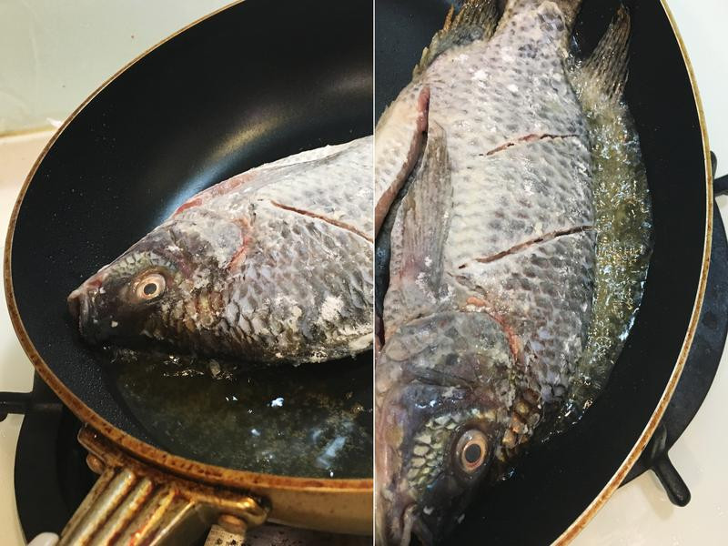 ��ʽ�ݲ˶������������