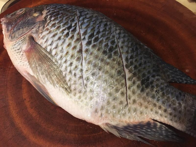 ��ʽ�ݲ˶������������