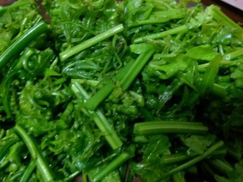 ���ˤι�è����ɳ��������