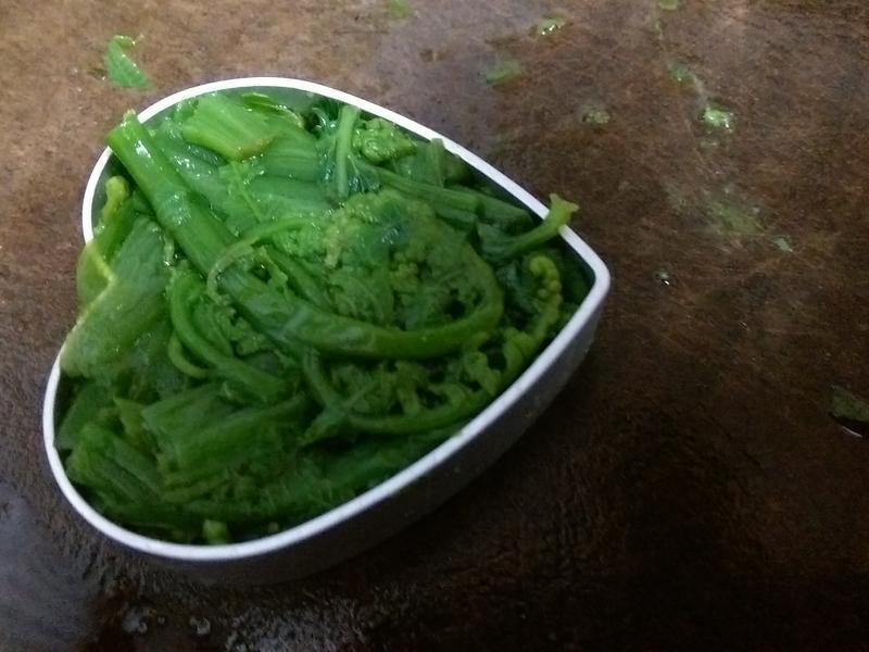 ���ˤι�è����ɳ��������