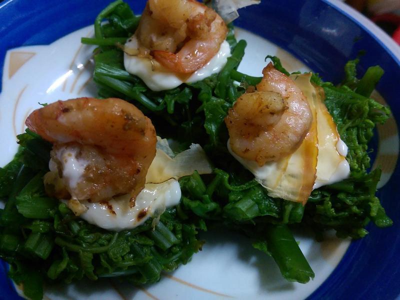 ���ˤι�è����ɳ��������