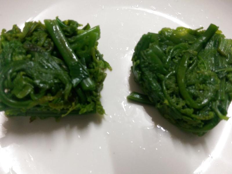 ���ˤι�è����ɳ��������