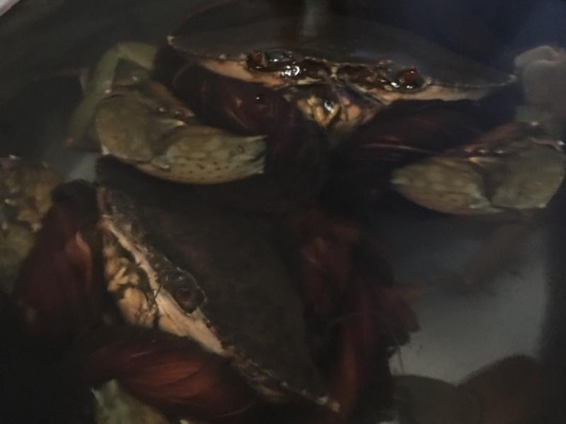 �������з�����׽�֭������