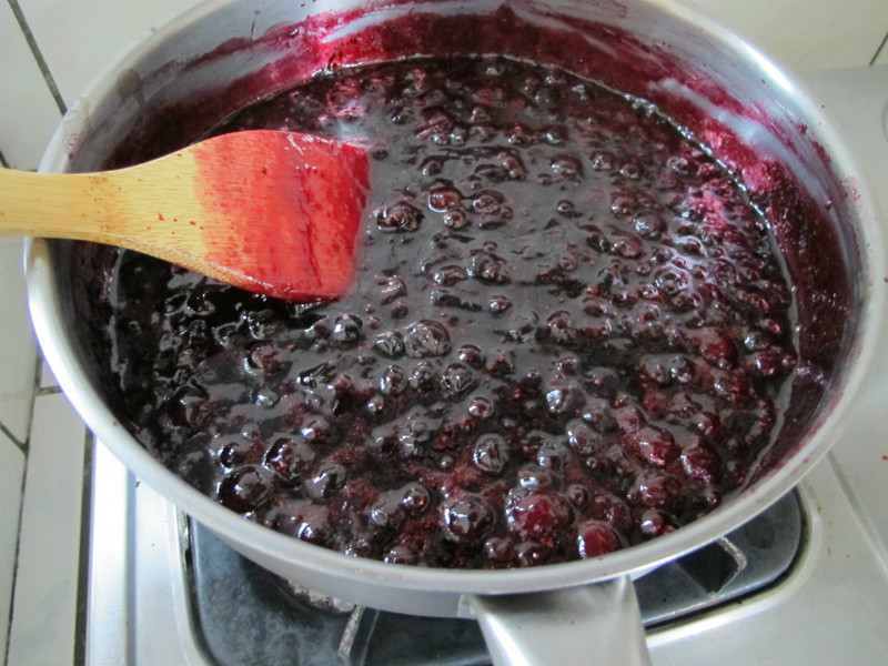 �����ۺ�ݮ����&��Ȼݮ��֭������