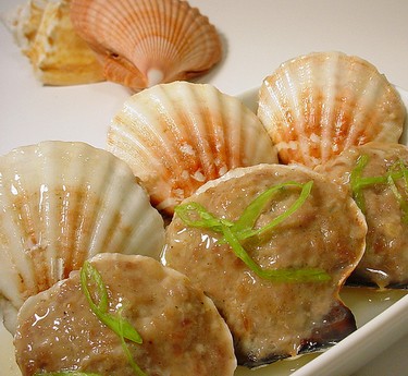 �������������