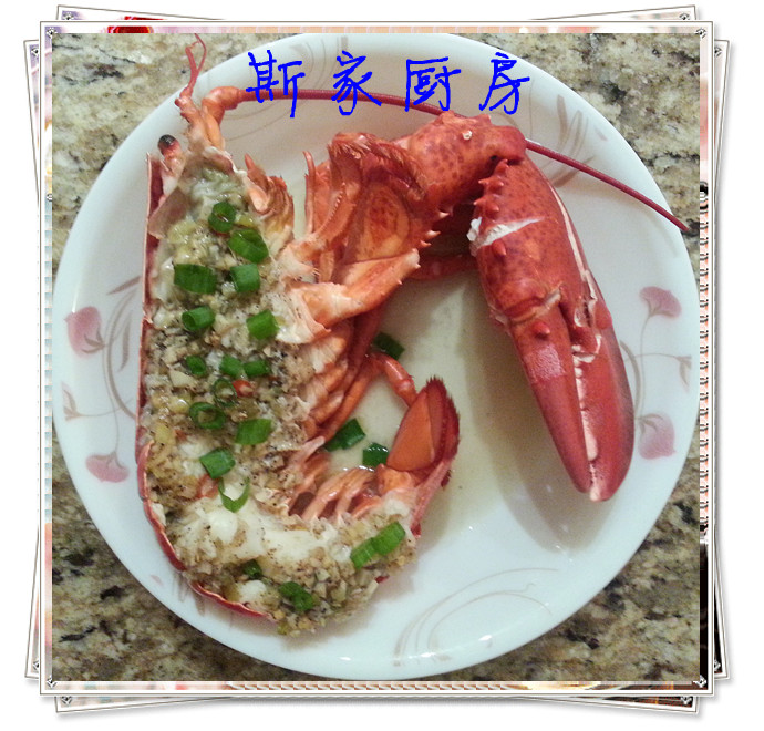 ֪ζ����Ϻ������